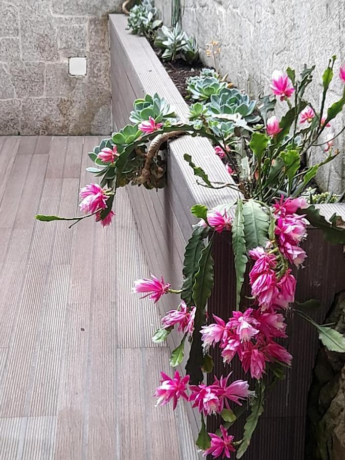 Casa Da Nau Apartment Vila do Conde Ngoại thất bức ảnh